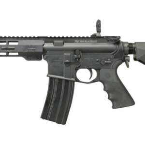WW-15 300 Blackout AR Pistol with Brace