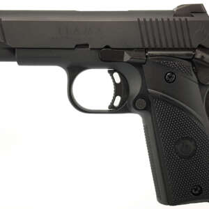Micro Max 380 ACP Centerfire Pistol
