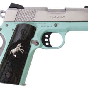 Defender 9mm with Robins Egg Blue Cerakote Frame