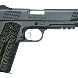 Custom TLE/RL II 10mm Auto with Night Sights