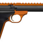 Black 9mm Luger 3.7 in. 10 Rds. - Pistols - California Gun Shop
