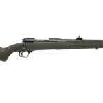 CPX-2 9mm Flat Dark Earth Pistol with Stainless Slide - Firearms - California Gun Shop