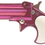 CCP M2 9mm Carry Conceal Pistol with Stainless Slide - Firearms - California Gun Shop