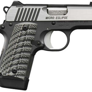 Micro Eclipse 380 ACP Carry Conceal Pistol with Night Sights