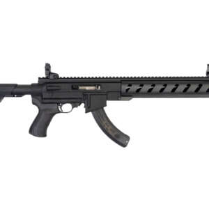 10/22 Tactical 22LR with ATI AR-22 Stock