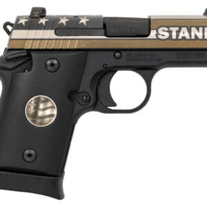 P938 Stand 9mm Micro Compact Pistol with Night Sights