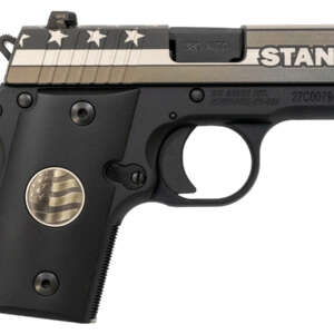 P238 Stand 380 ACP Carry Conceal Pistol with Night Sights