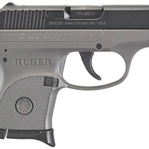 LCP 380 ACP Carry Conceal Pistol with Destroyer Gray Frame