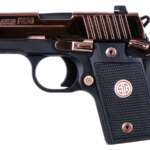 SR9C Compact 9mm Stainless Centerfire Pistol with 3 Mags - Firearms - California Gun Shop