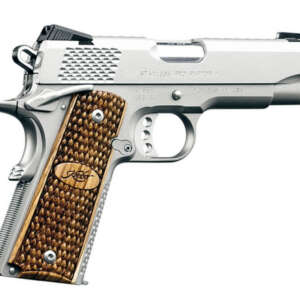 Stainless Pro Raptor II 9mm Pistol with Night Sights