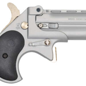 380 ACP Derringer with Satin Nickel Cerakote Finish