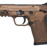 APX 9mm 17-Round Striker-Fired Pistol (Black) - Firearms - California Gun Shop