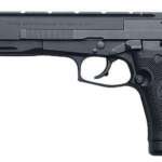 87 Target 22 Long Rifle with Plastic Grips , 10 Rounds