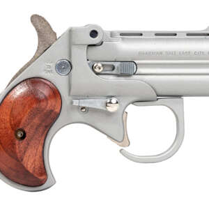 38 Special Big Bore Derringer Guardian Package with Satin Finish and Rosewood Gr