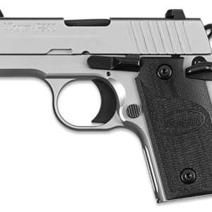 P238 HD Stainless 380 ACP Centerfire Pistol with Night Sights