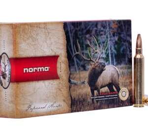 Norma American PH .300 RUM 180-Grain 20-Rounds Oryx
