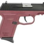 Ruger Security-9 Compact 9mm 3.42" 10 RD 3-Dot Adjustable Sights - New Arrivals - California Gun Shop