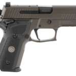 Diamondback DB15 Pistol Midnight Bronze 5.56 NATO 10" Barrel 30-Rounds - New Arrivals - California Gun Shop
