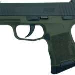 Bergara Ridge Wilderness 6.5 PRC 24" Barrel 2 RDs - New Arrivals - California Gun Shop