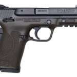 Micro Raptor 380 ACP Carry Conceal Pistol - Firearms - California Gun Shop