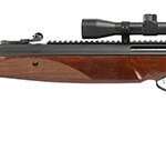 Black/Troy Coyote Brown 9mm Luger Micro-Compact 11 Rds. - Pistols - California Gun Shop