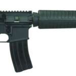 Charter Arms Boomer - revolver - California Gun Shop