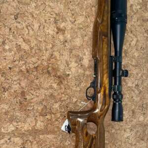 RUGER 10/22 CARBINE Rifles Semi Auto