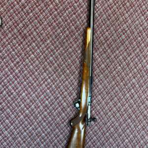 RUGER M77 HAWKEYE Rifles Bolt Action