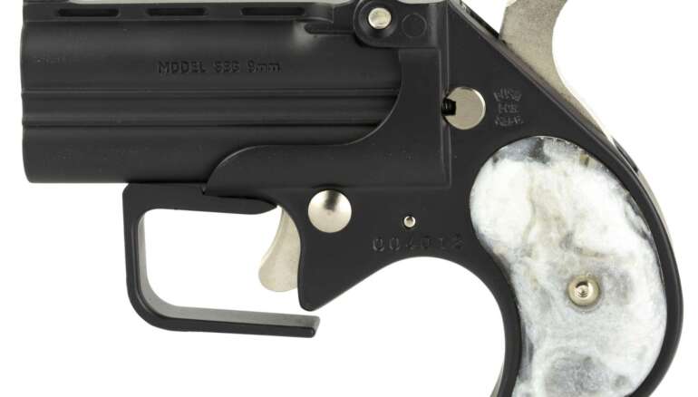 State Firearms Laws: A Practical Guide