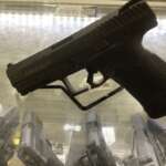 Black/Troy Coyote Brown 9mm Luger Micro-Compact 11 Rds. - Pistols - California Gun Shop