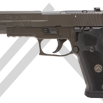 P220 LEGION 10MM for sale