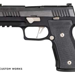 P320 AXG Equinox for sale