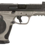 Smith & Wesson SW22 Victory Target 5.5″ .22 LR Stainless - Machine Gun - California Gun Shop