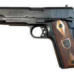 Ruger LCP MAX .380 ACP 2.8″ 10rd Black/Green - Machine Gun - California Gun Shop