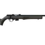 10/22 Compact 22 LR Autoloading Rifle - Firearms - California Gun Shop
